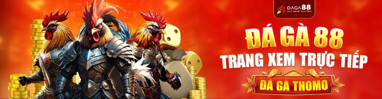 Hình ảnh tổng quan nền tảng 799bet nhà cái
