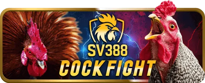 Khuyến mãi casino 799bet nhà cái