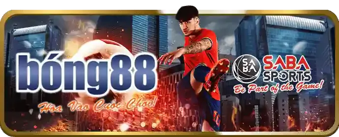 Hoàn trả thể thao